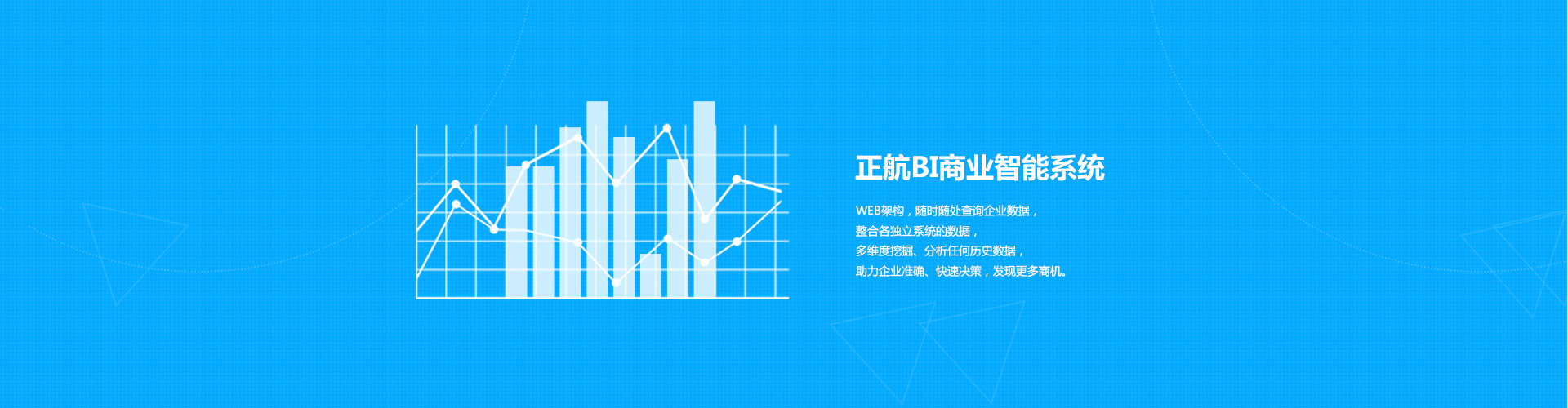 BI商业智能